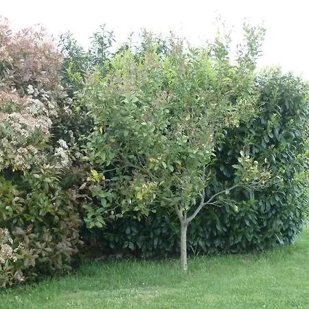 La Casa De Orviz Prázdninový dům *