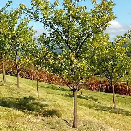 La Casa De Orviz Prázdninový dům Siero